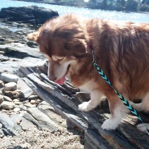 Meet your Posher, Paula